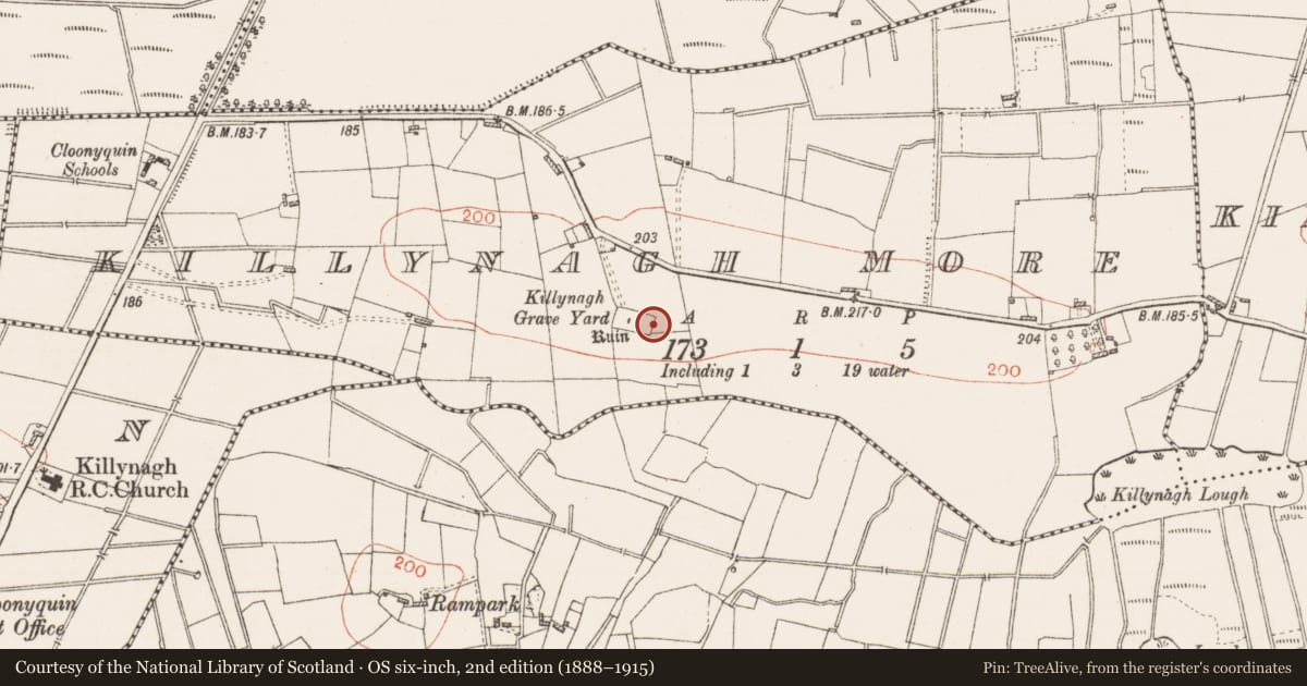 Ordnance Survey six-inch map, 2nd edition (1888–1915) covering the location of Architectural fragment, Killynagh More, County Roscommon, with a pin at the register's coordinates