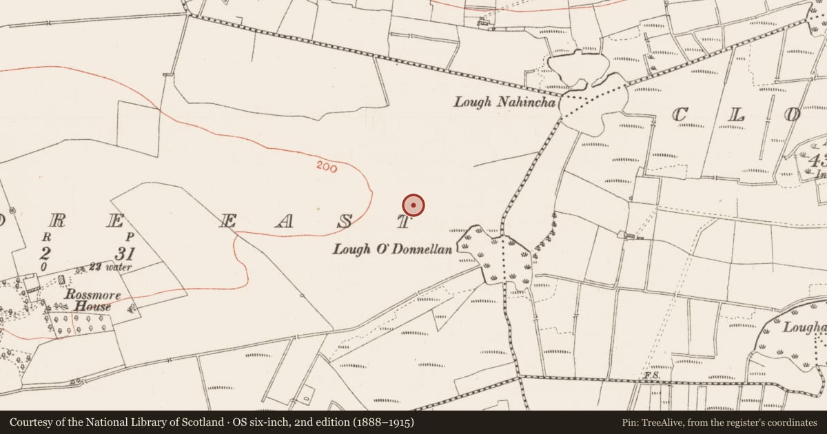 Ordnance Survey six-inch map, 2nd edition (1888–1915) covering the location of Enclosure, Ross More East, County Roscommon, with a pin at the register's coordinates