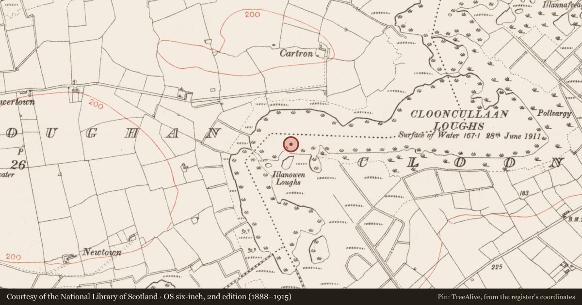 Ordnance Survey six-inch map, 2nd edition (1888–1915) covering the location of Crannog, Clooncullaan, County Roscommon, with a pin at the register's coordinates