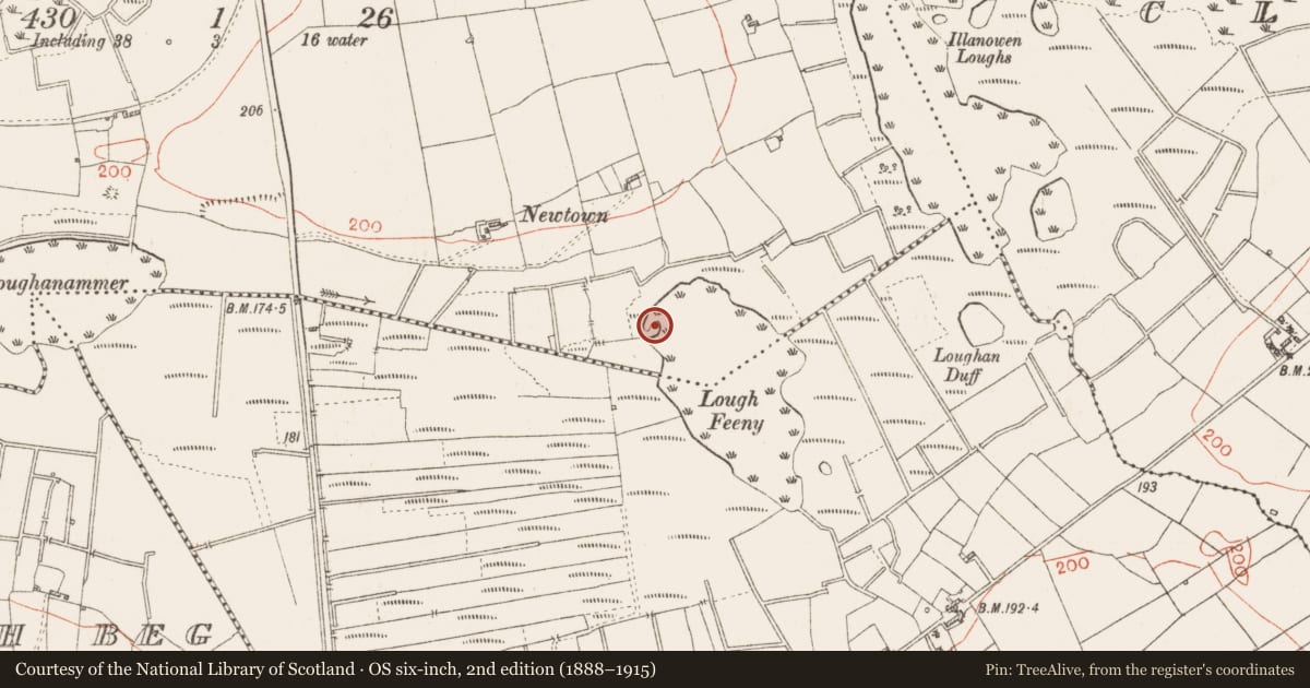 Ordnance Survey six-inch map, 2nd edition (1888–1915) covering the location of Crannog, Cloonroughan, County Roscommon, with a pin at the register's coordinates