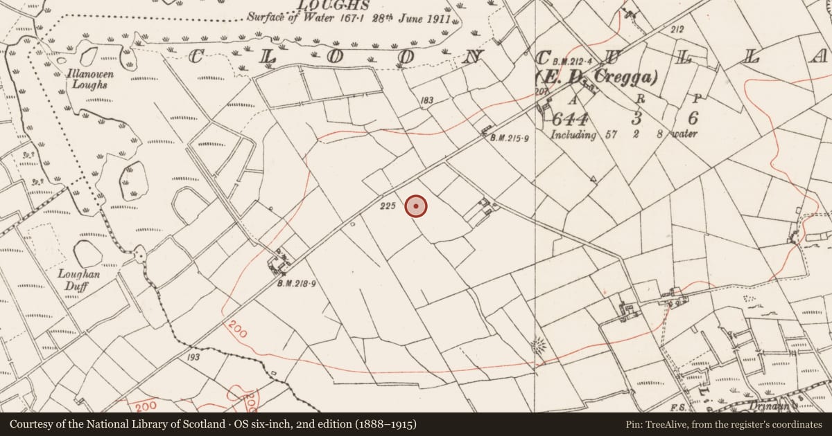Ordnance Survey six-inch map, 2nd edition (1888–1915) covering the location of Ringfort - rath, Clooncullaan, County Roscommon, with a pin at the register's coordinates