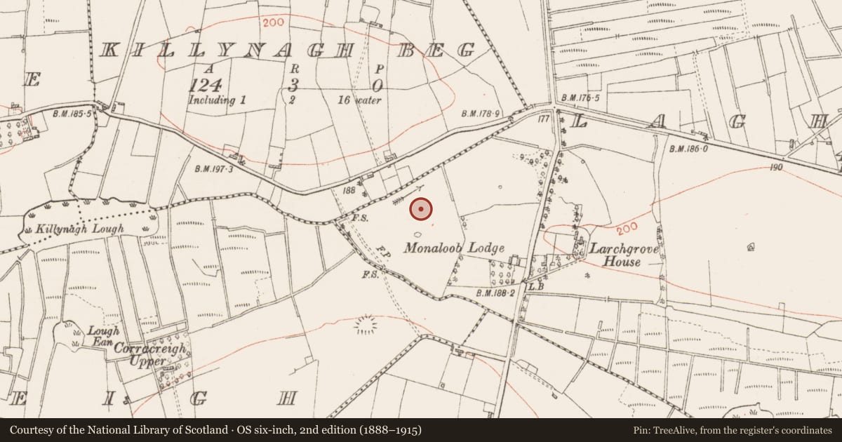 Ordnance Survey six-inch map, 2nd edition (1888–1915) covering the location of Field system, Laghtcausk, County Roscommon, with a pin at the register's coordinates