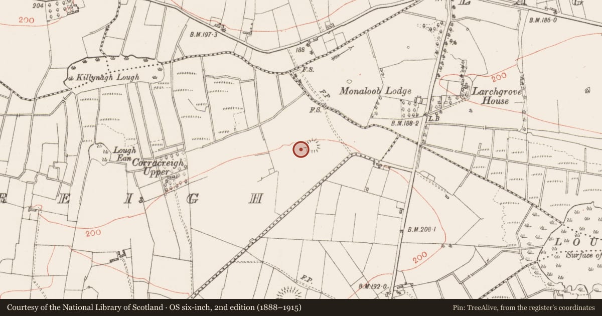 Ordnance Survey six-inch map, 2nd edition (1888–1915) covering the location of Concentric enclosure, Corracreigh, County Roscommon, with a pin at the register's coordinates