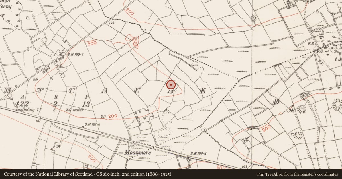 Ordnance Survey six-inch map, 2nd edition (1888–1915) covering the location of Ringfort - rath, Laghtcausk, County Roscommon, with a pin at the register's coordinates