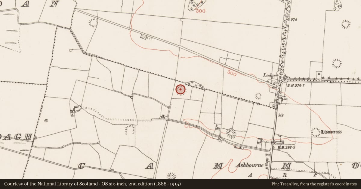 Ordnance Survey six-inch map, 2nd edition (1888–1915) covering the location of Ringfort - rath, Cammoge, County Roscommon, with a pin at the register's coordinates