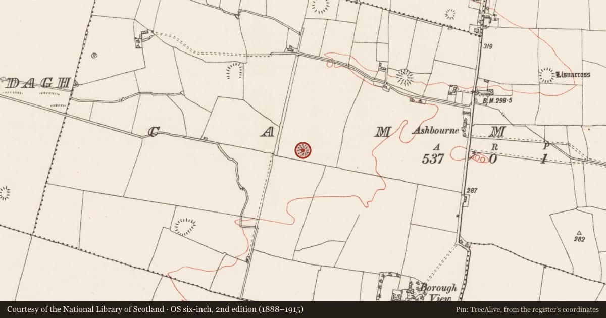 Ordnance Survey six-inch map, 2nd edition (1888–1915) covering the location of Ringfort - rath, Cammoge, County Roscommon, with a pin at the register's coordinates
