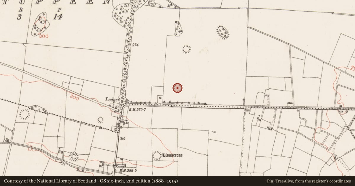 Ordnance Survey six-inch map, 2nd edition (1888–1915) covering the location of Ringfort - cashel, Cloonyquin, County Roscommon, with a pin at the register's coordinates
