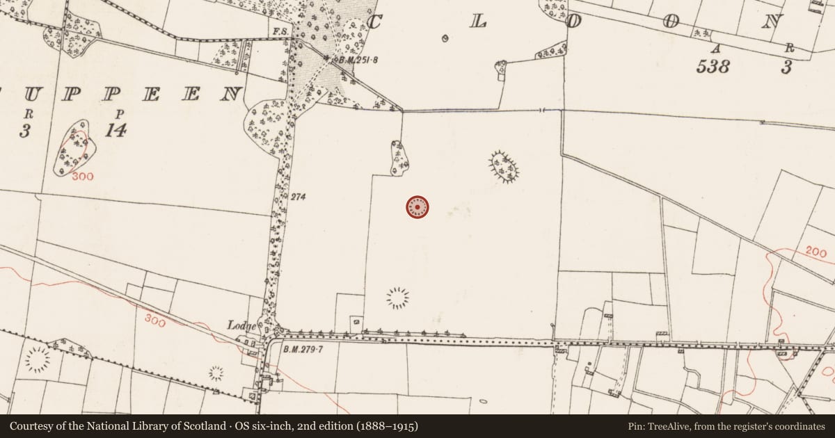 Ordnance Survey six-inch map, 2nd edition (1888–1915) covering the location of Ringfort - cashel, Cloonyquin, County Roscommon, with a pin at the register's coordinates