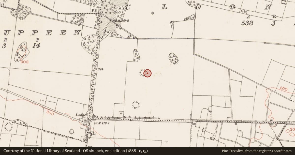 Ordnance Survey six-inch map, 2nd edition (1888–1915) covering the location of Cairn - clearance cairn, Cloonyquin, County Roscommon, with a pin at the register's coordinates
