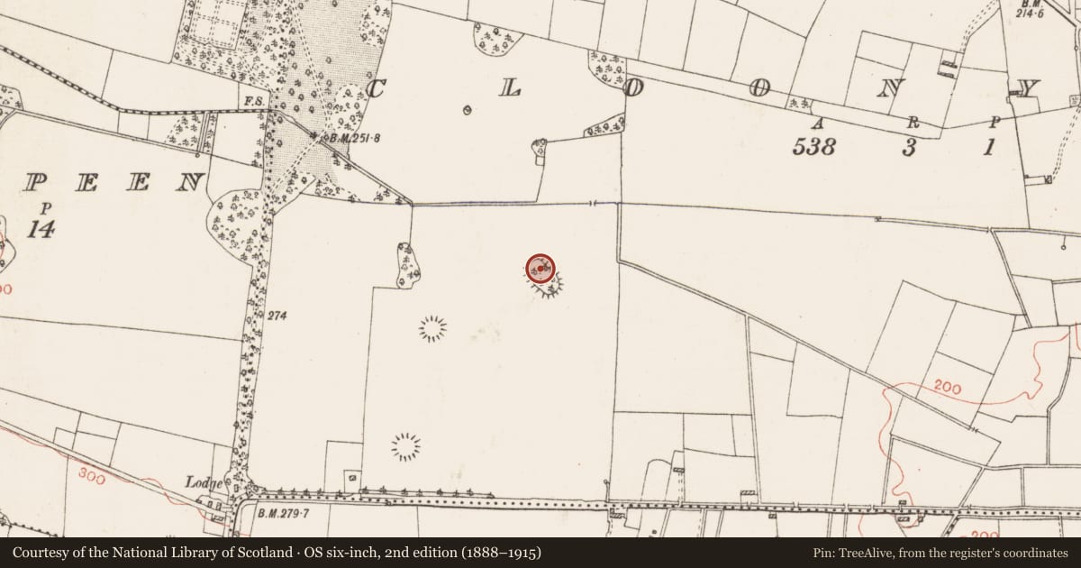 Ordnance Survey six-inch map, 2nd edition (1888–1915) covering the location of Cairn - clearance cairn, Cloonyquin, County Roscommon, with a pin at the register's coordinates