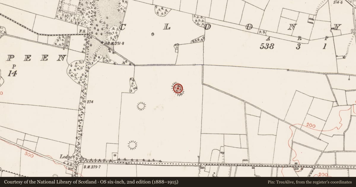 Ordnance Survey six-inch map, 2nd edition (1888–1915) covering the location of Enclosure, Cloonyquin, County Roscommon, with a pin at the register's coordinates