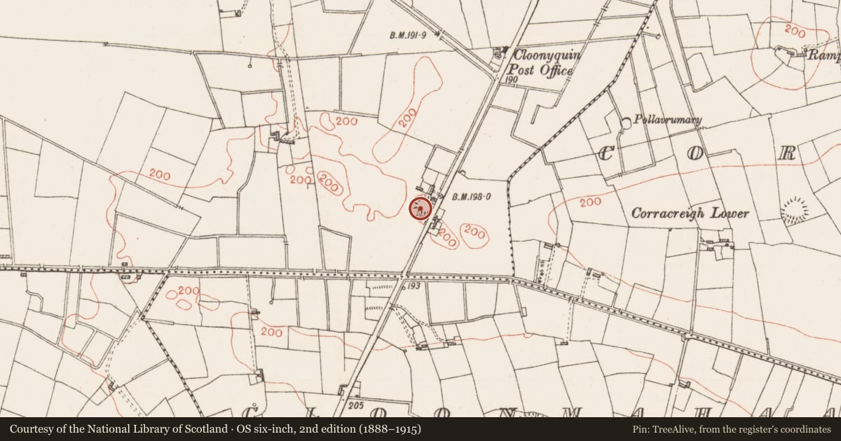 Ordnance Survey six-inch map, 2nd edition (1888–1915) covering the location of Ringfort - rath, Cloonyquin, County Roscommon, with a pin at the register's coordinates