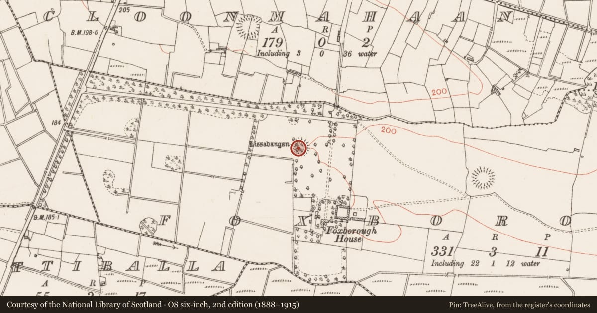 Ordnance Survey six-inch map, 2nd edition (1888–1915) covering the location of Ringfort - rath, Foxborough, County Roscommon, with a pin at the register's coordinates