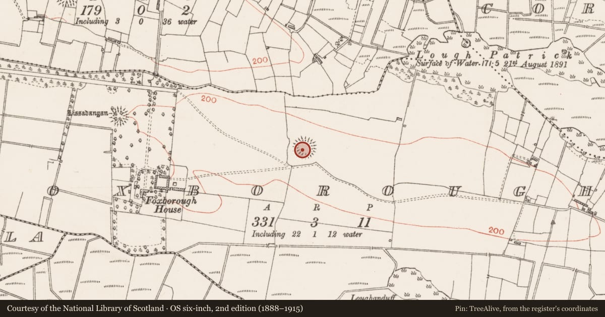 Ordnance Survey six-inch map, 2nd edition (1888–1915) covering the location of Ringfort - rath, Foxborough, County Roscommon, with a pin at the register's coordinates