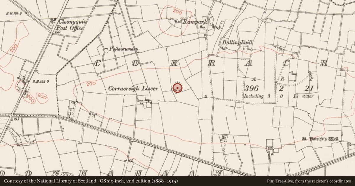 Ordnance Survey six-inch map, 2nd edition (1888–1915) covering the location of Ringfort - rath, Corracreigh, County Roscommon, with a pin at the register's coordinates