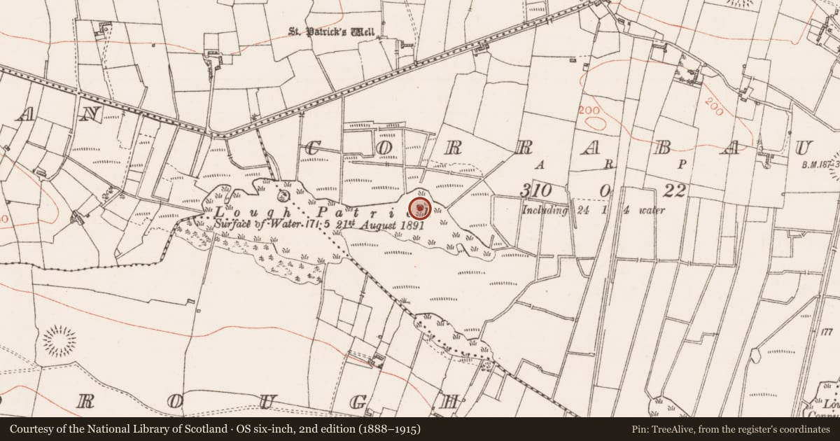 Ordnance Survey six-inch map, 2nd edition (1888–1915) covering the location of Crannog, Corrabaun, County Roscommon, with a pin at the register's coordinates
