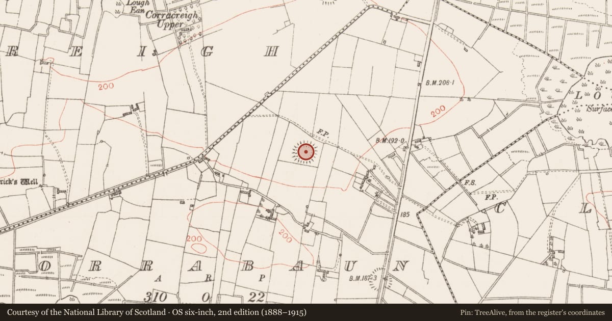 Ordnance Survey six-inch map, 2nd edition (1888–1915) covering the location of Ringfort - rath, Corrabaun, County Roscommon, with a pin at the register's coordinates