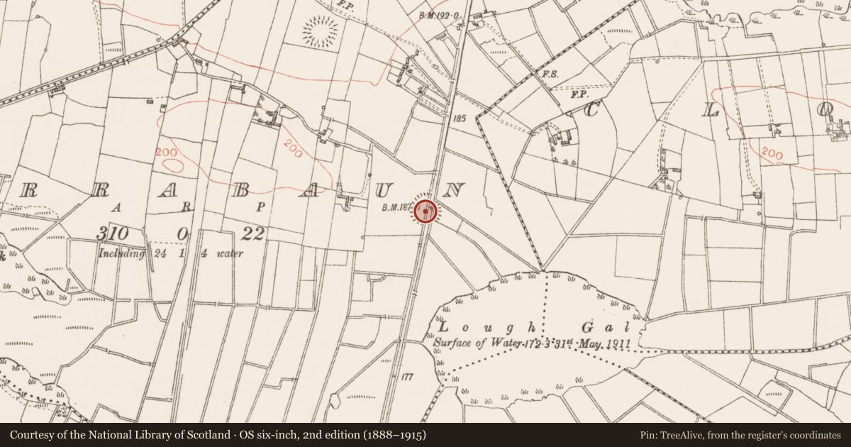 Ordnance Survey six-inch map, 2nd edition (1888–1915) covering the location of Ringfort - rath, Corrabaun, County Roscommon, with a pin at the register's coordinates