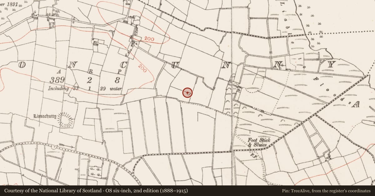 Ordnance Survey six-inch map, 2nd edition (1888–1915) covering the location of Designed landscape - tree-ring, Clooncunny, County Roscommon, with a pin at the register's coordinates