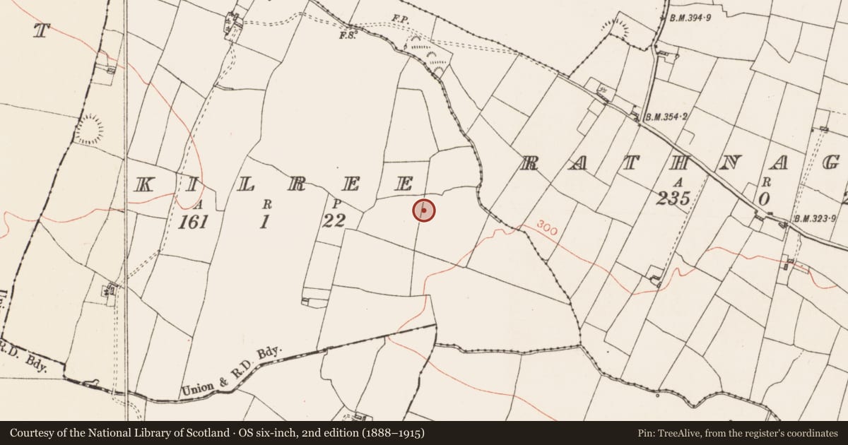 Ordnance Survey six-inch map, 2nd edition (1888–1915) covering the location of Ringfort - rath, Kilree, County Roscommon, with a pin at the register's coordinates