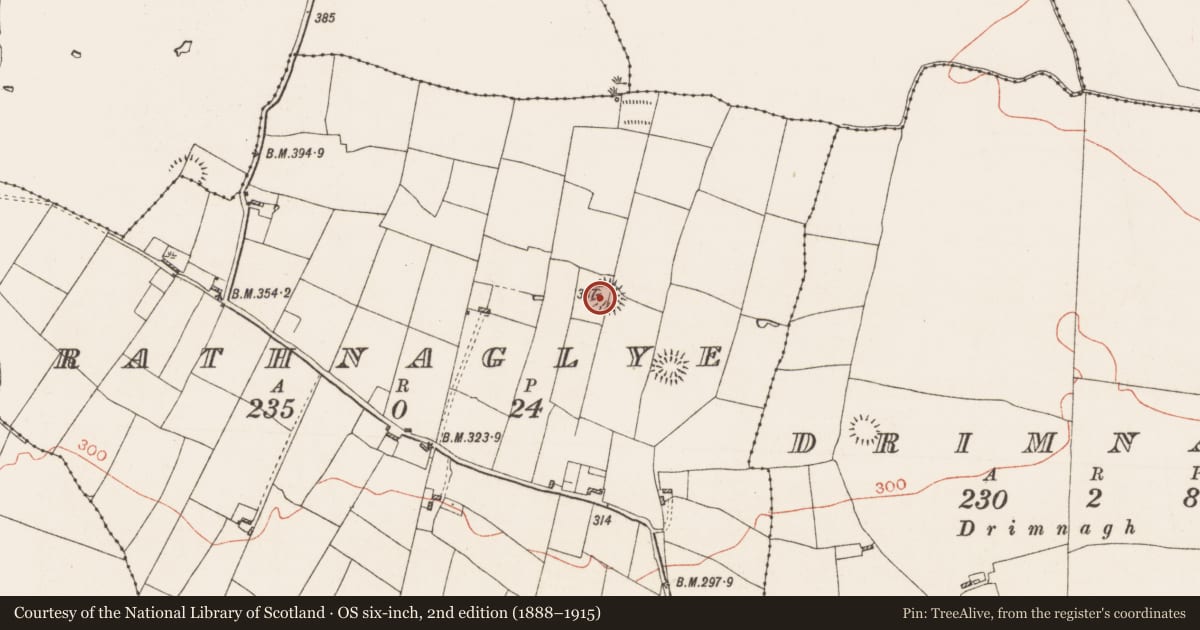 Ordnance Survey six-inch map, 2nd edition (1888–1915) covering the location of Ringfort - rath, Rathnaglye, County Roscommon, with a pin at the register's coordinates