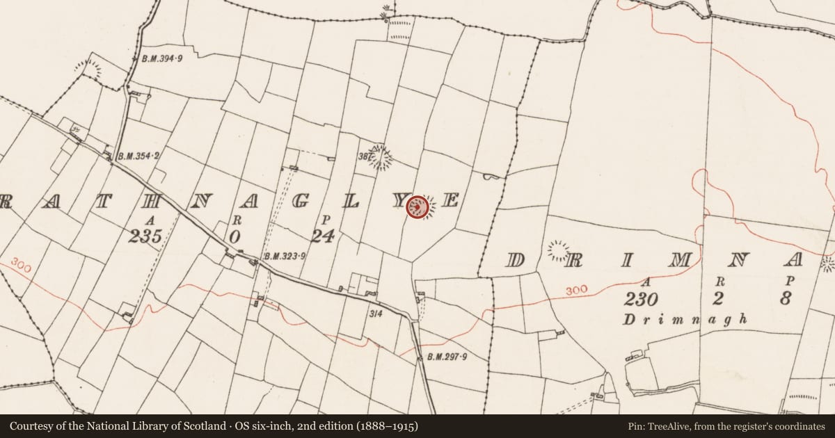 Ordnance Survey six-inch map, 2nd edition (1888–1915) covering the location of Ringfort - rath, Rathnaglye, County Roscommon, with a pin at the register's coordinates