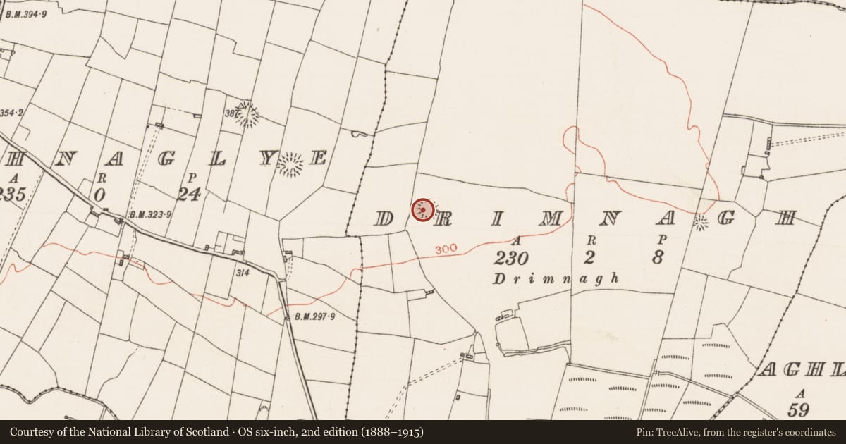 Ordnance Survey six-inch map, 2nd edition (1888–1915) covering the location of Ringfort - unclassified, Drimnagh, County Roscommon, with a pin at the register's coordinates