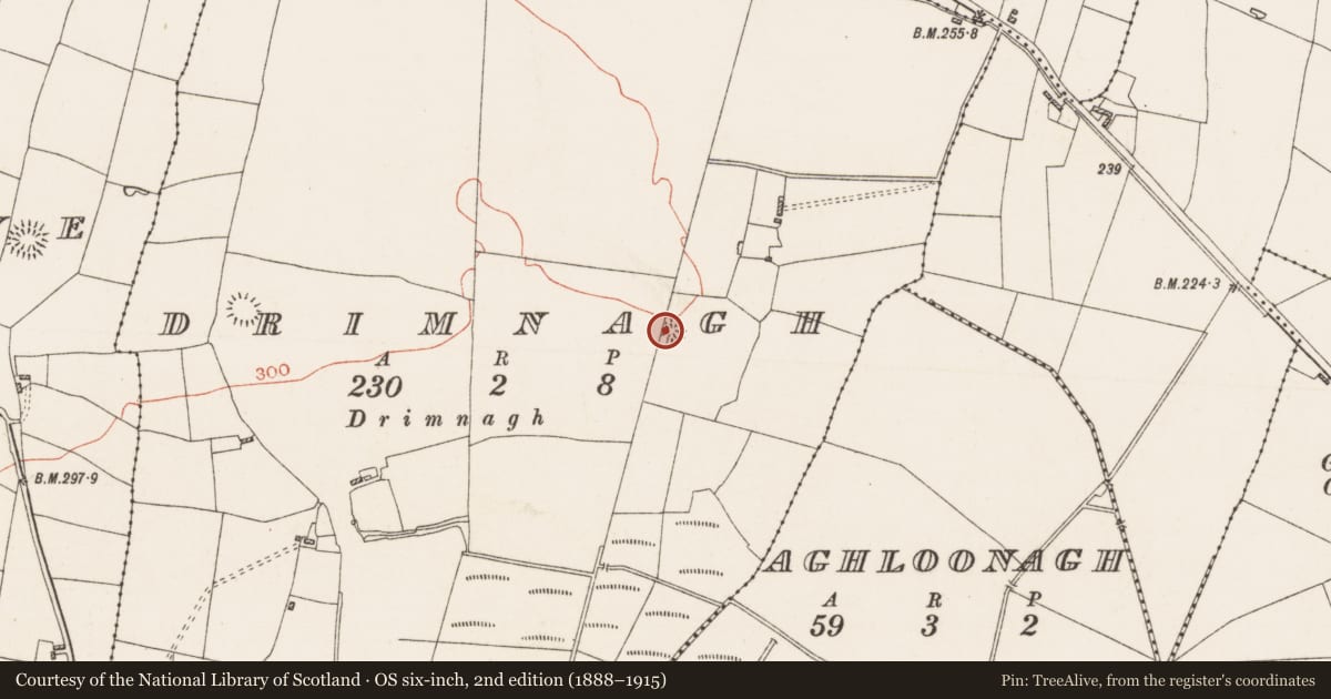 Ordnance Survey six-inch map, 2nd edition (1888–1915) covering the location of Barrow - ring-barrow, Drimnagh, County Roscommon, with a pin at the register's coordinates