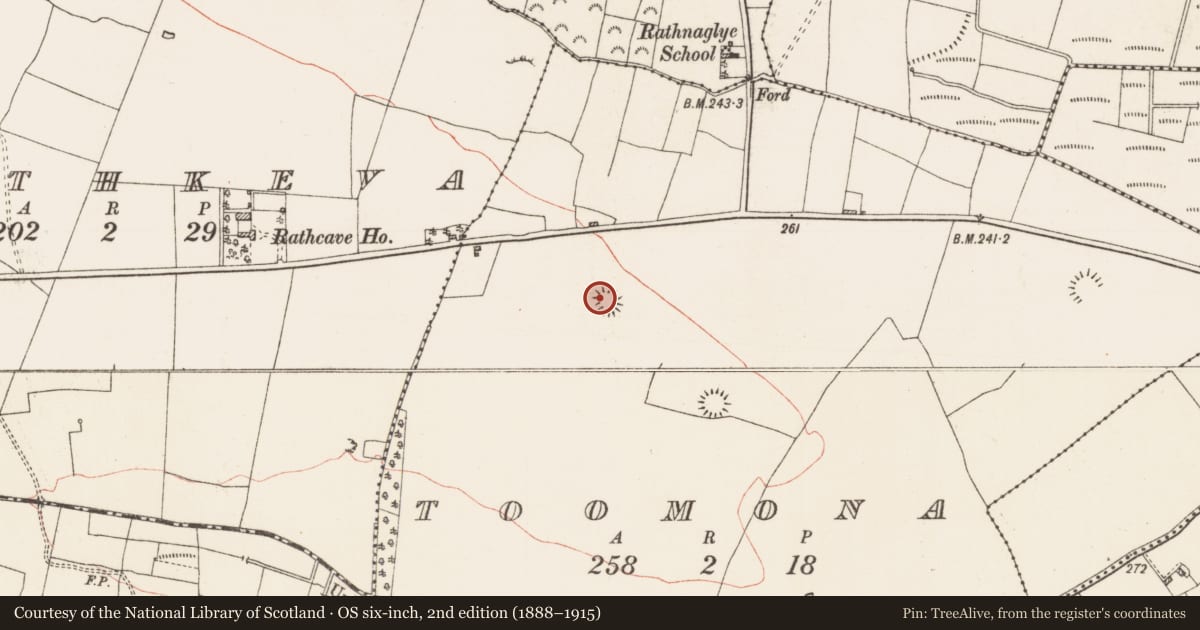 Ordnance Survey six-inch map, 2nd edition (1888–1915) covering the location of Ringfort - rath, Toomona, County Roscommon, with a pin at the register's coordinates