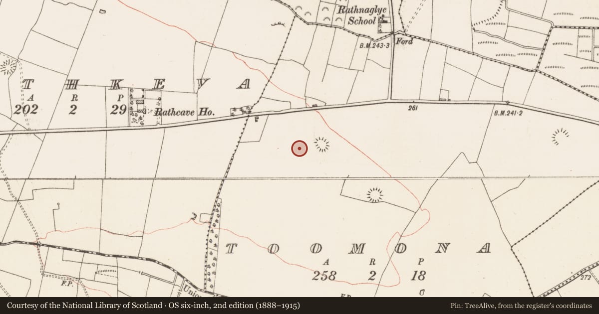 Ordnance Survey six-inch map, 2nd edition (1888–1915) covering the location of Field system, Toomona, County Roscommon, with a pin at the register's coordinates