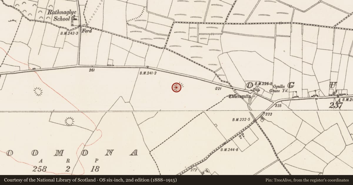 Ordnance Survey six-inch map, 2nd edition (1888–1915) covering the location of Ringfort - rath, Toomona, County Roscommon, with a pin at the register's coordinates