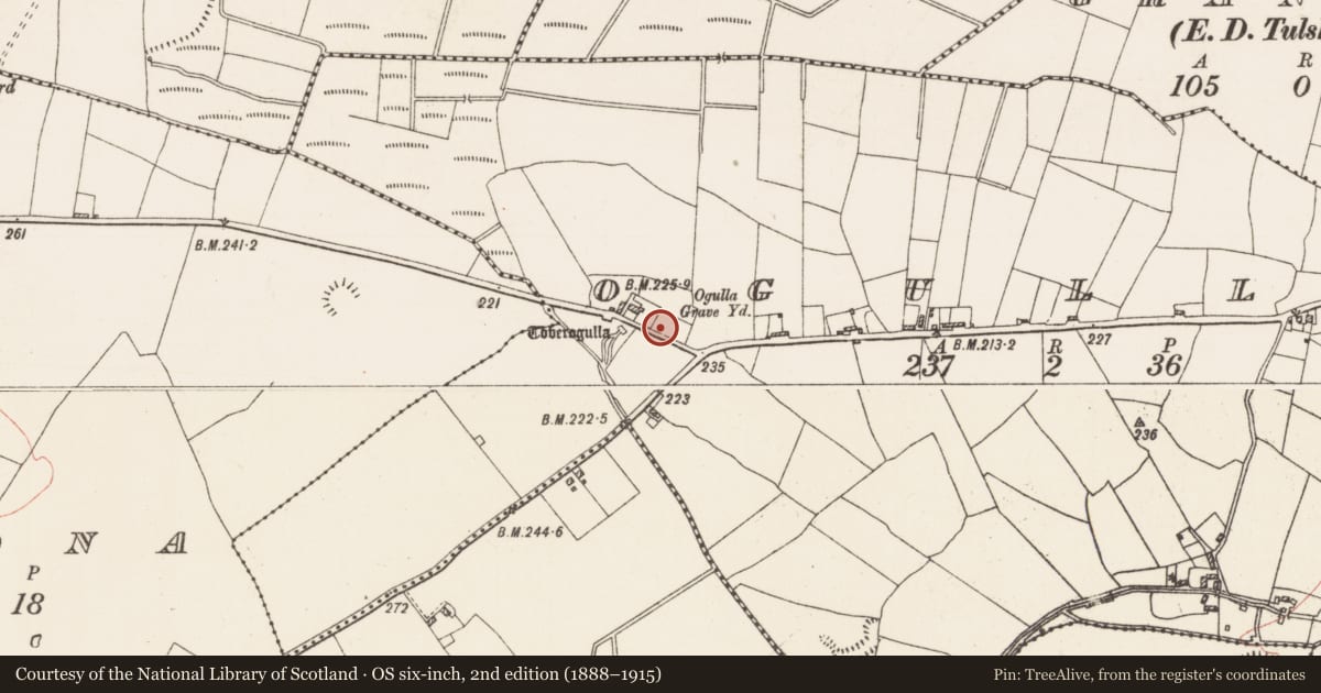 Ordnance Survey six-inch map, 2nd edition (1888–1915) covering the location of Graveyard, Ogulla, County Roscommon, with a pin at the register's coordinates