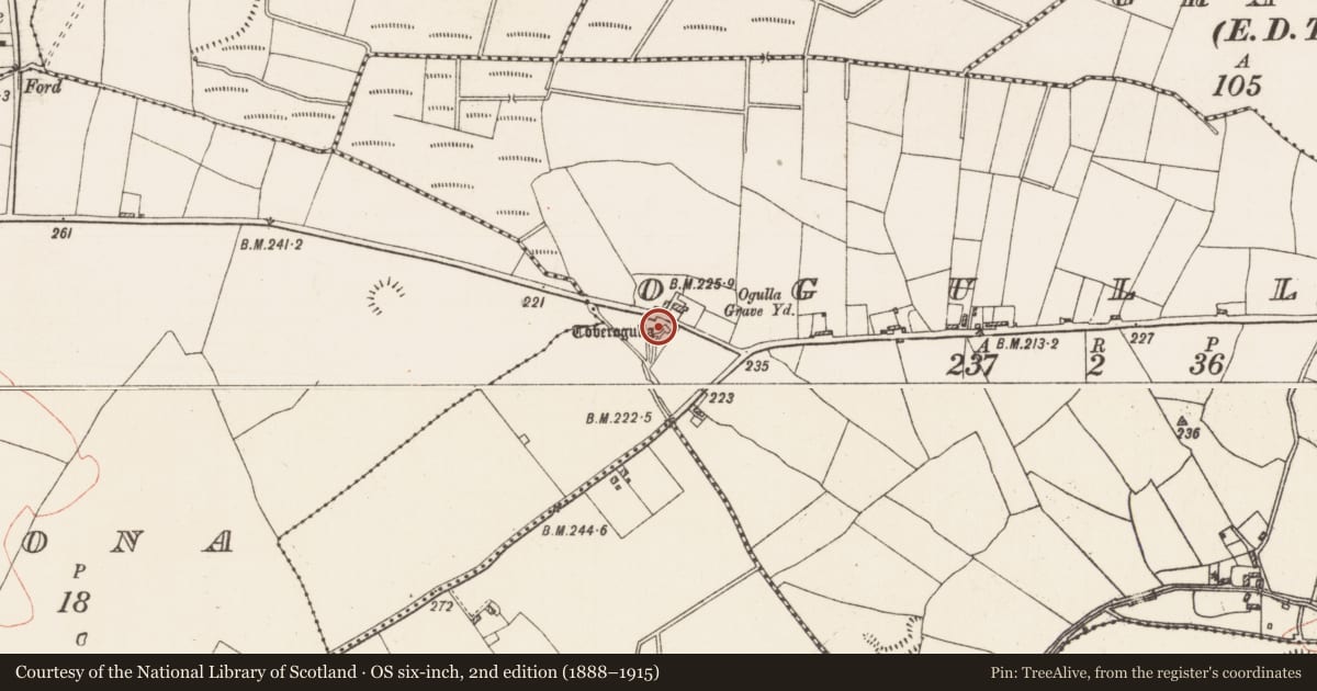 Ordnance Survey six-inch map, 2nd edition (1888–1915) covering the location of Cross - High cross, Ogulla, County Roscommon, with a pin at the register's coordinates