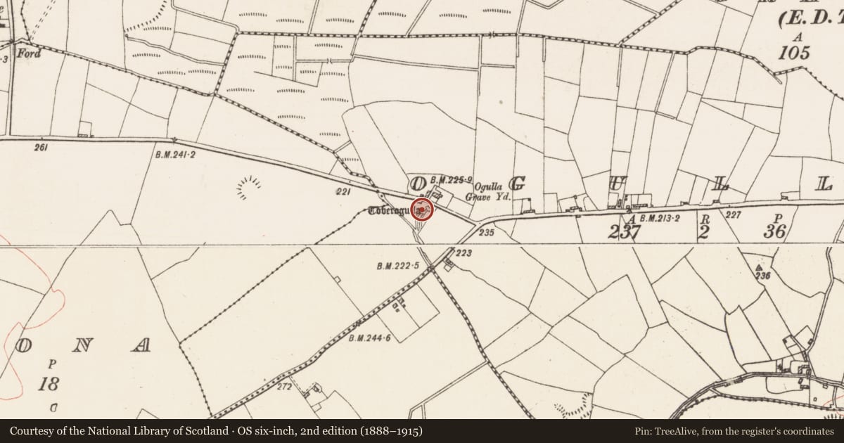 Ordnance Survey six-inch map, 2nd edition (1888–1915) covering the location of Ritual site - holy tree/bush, Ogulla, County Roscommon, with a pin at the register's coordinates