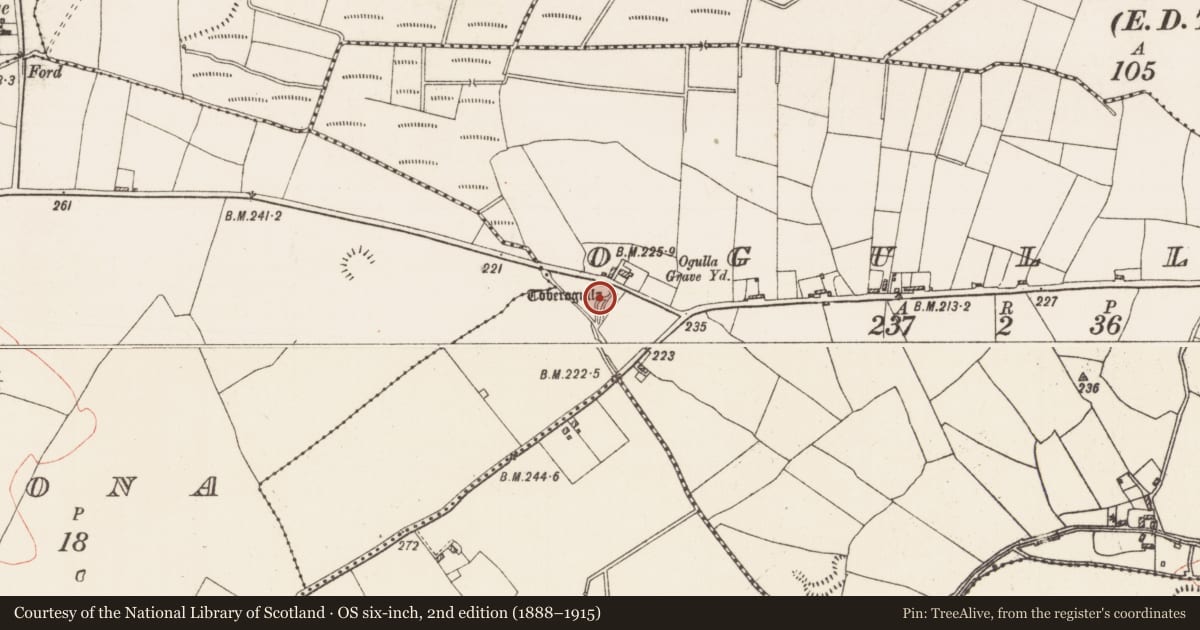 Ordnance Survey six-inch map, 2nd edition (1888–1915) covering the location of Standing stone, Ogulla, County Roscommon, with a pin at the register's coordinates