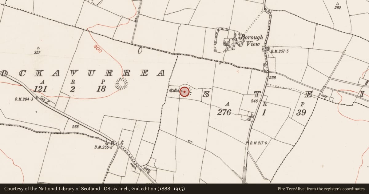 Ordnance Survey six-inch map, 2nd edition (1888–1915) covering the location of Ringfort - rath, Steill, County Roscommon, with a pin at the register's coordinates