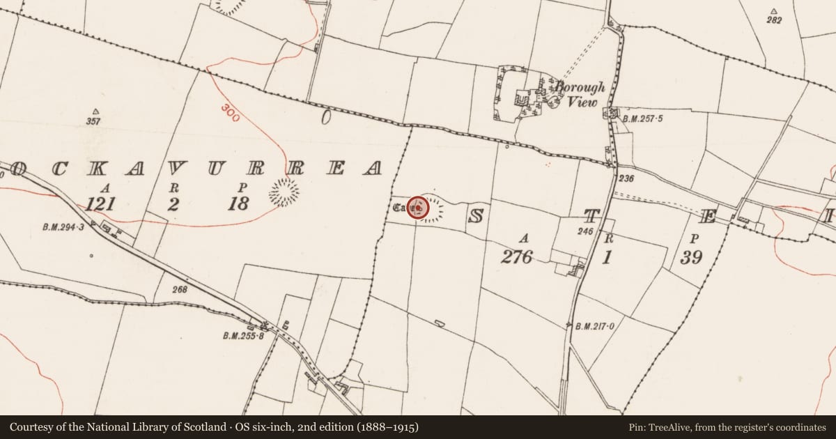 Ordnance Survey six-inch map, 2nd edition (1888–1915) covering the location of Souterrain, Steill, County Roscommon, with a pin at the register's coordinates