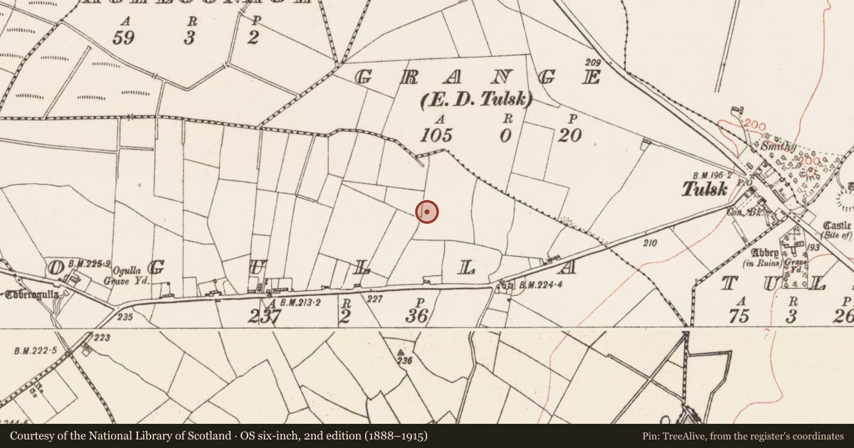 Ordnance Survey six-inch map, 2nd edition (1888–1915) covering the location of Ringfort - rath, Ogulla, County Roscommon, with a pin at the register's coordinates