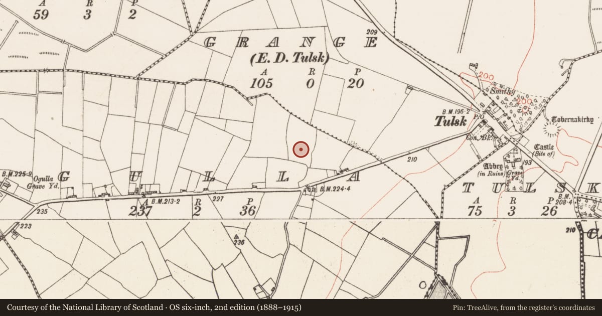 Ordnance Survey six-inch map, 2nd edition (1888–1915) covering the location of Ringfort - rath, Ogulla, County Roscommon, with a pin at the register's coordinates