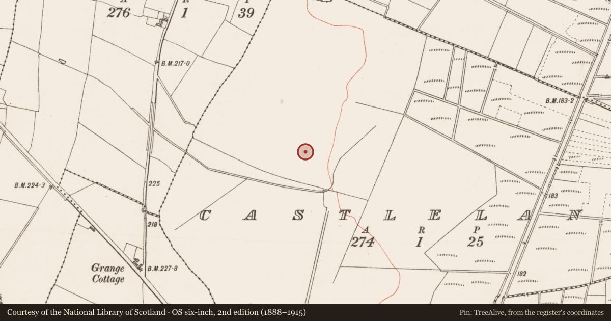 Ordnance Survey six-inch map, 2nd edition (1888–1915) covering the location of Ringfort - rath, Castleland, County Roscommon, with a pin at the register's coordinates