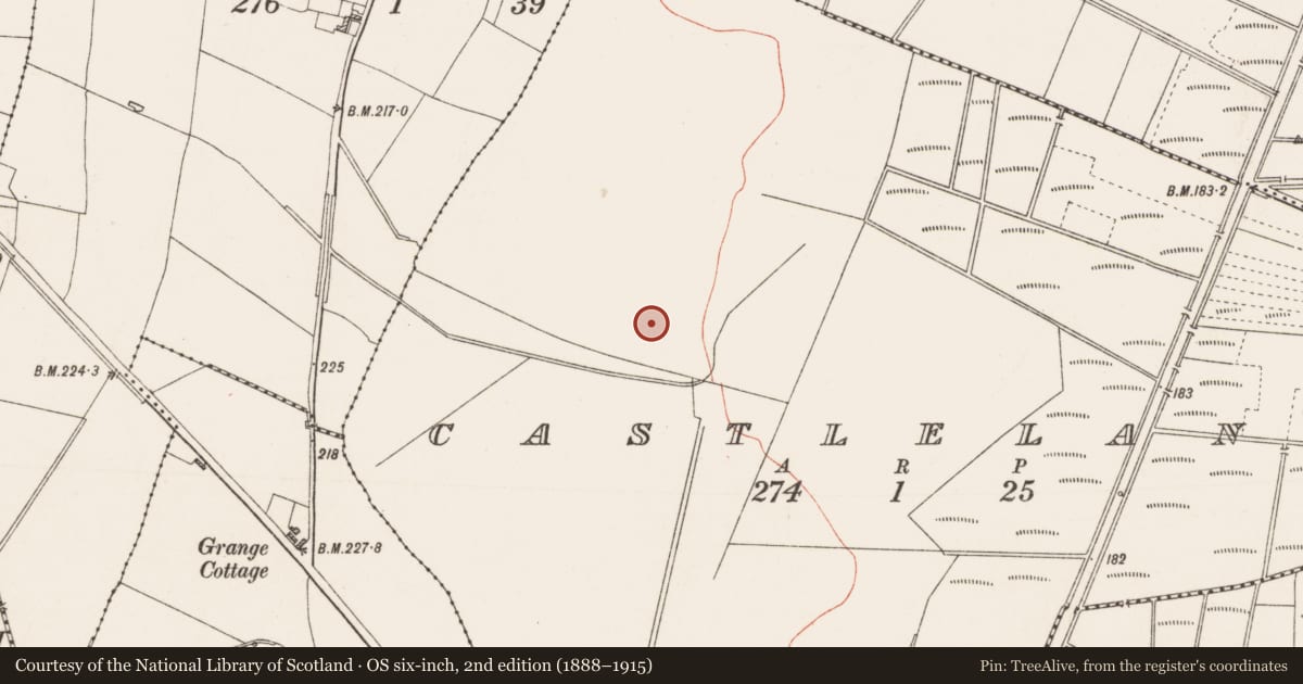 Ordnance Survey six-inch map, 2nd edition (1888–1915) covering the location of Ringfort - rath, Castleland, County Roscommon, with a pin at the register's coordinates