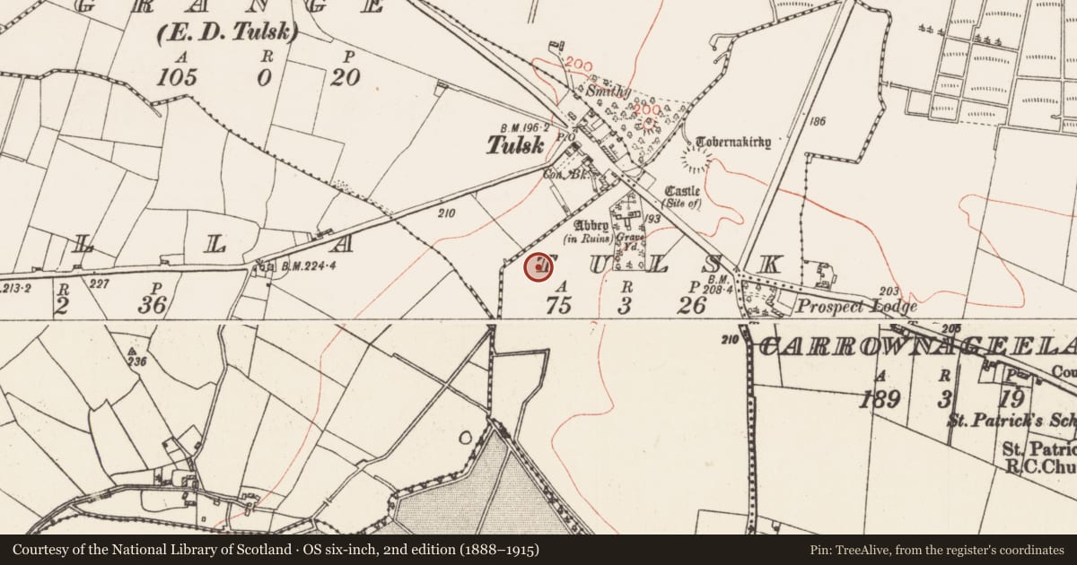 Ordnance Survey six-inch map, 2nd edition (1888–1915) covering the location of Field system, Tulsk, County Roscommon, with a pin at the register's coordinates