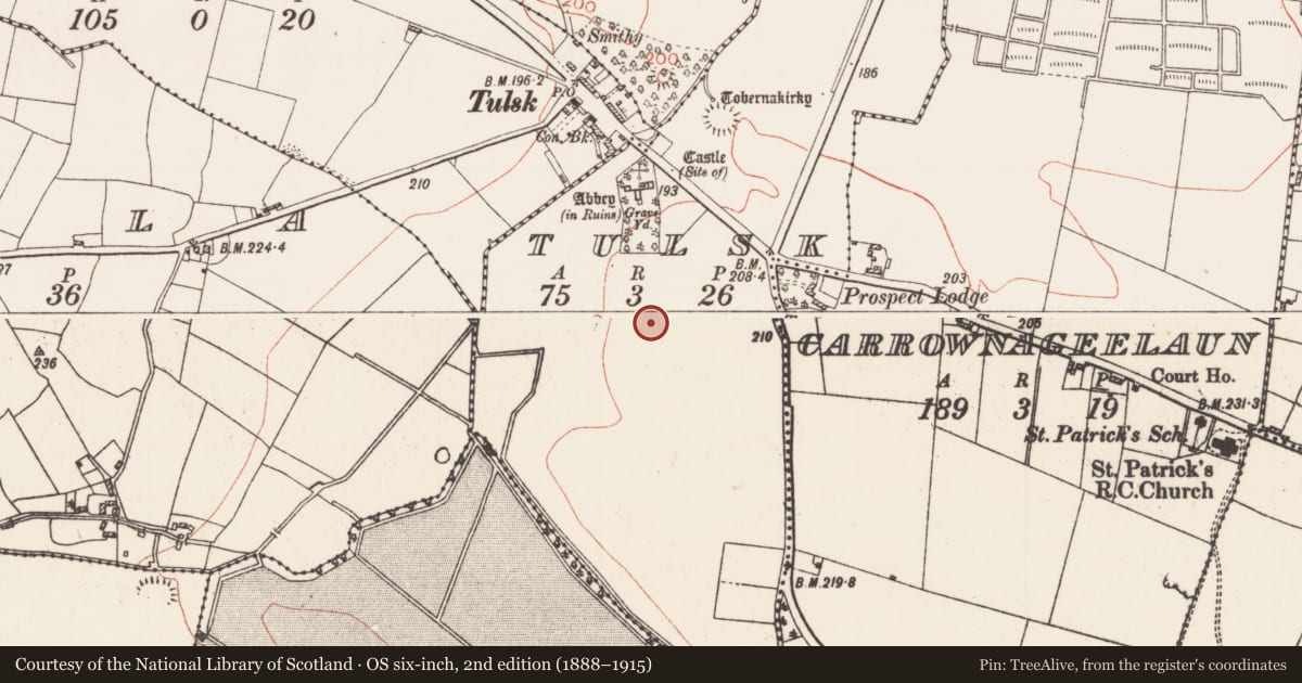 Ordnance Survey six-inch map, 2nd edition (1888–1915) covering the location of Road - road/trackway, Tulsk, County Roscommon, with a pin at the register's coordinates