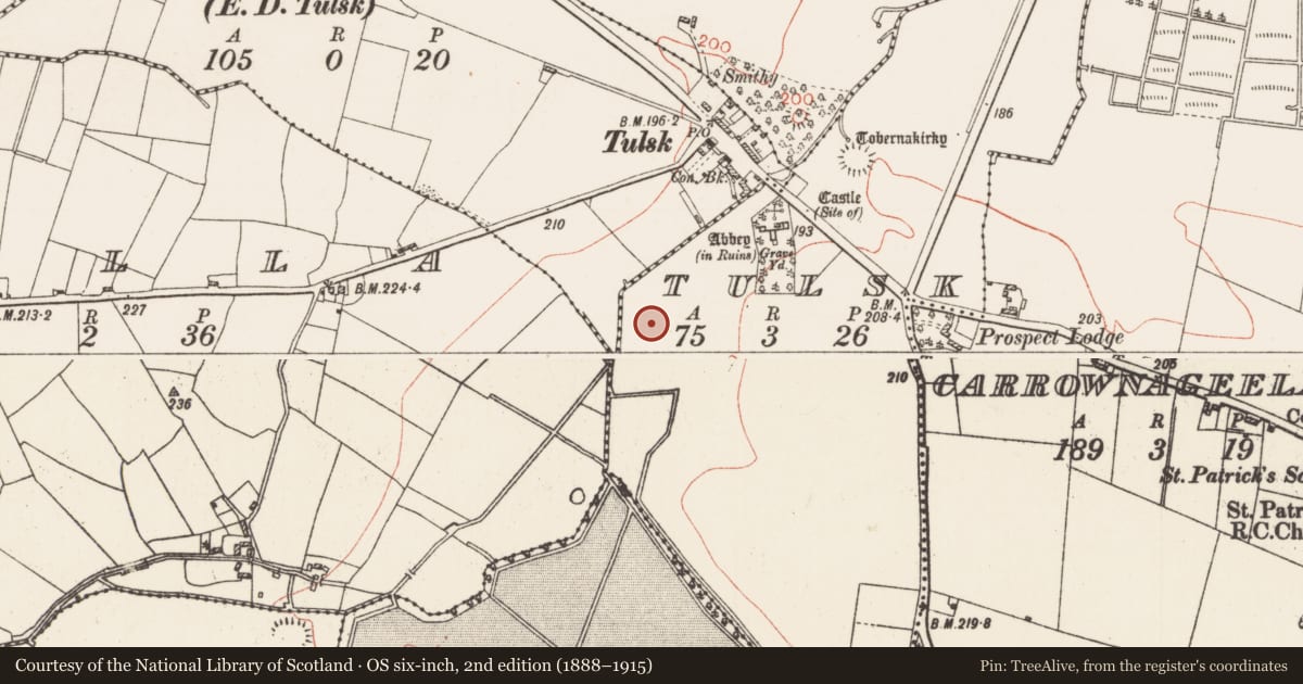 Ordnance Survey six-inch map, 2nd edition (1888–1915) covering the location of Mill - unclassified, Tulsk, County Roscommon, with a pin at the register's coordinates