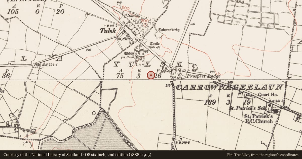 Ordnance Survey six-inch map, 2nd edition (1888–1915) covering the location of Road - road/trackway, Tulsk, County Roscommon, with a pin at the register's coordinates