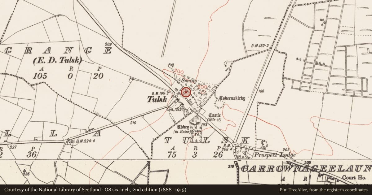 Ordnance Survey six-inch map, 2nd edition (1888–1915) covering the location of Historic town, County Roscommon, with a pin at the register's coordinates