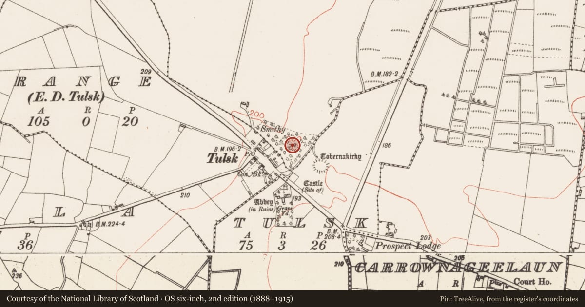 Ordnance Survey six-inch map, 2nd edition (1888–1915) covering the location of Castle - unclassified, Castleland, County Roscommon, with a pin at the register's coordinates