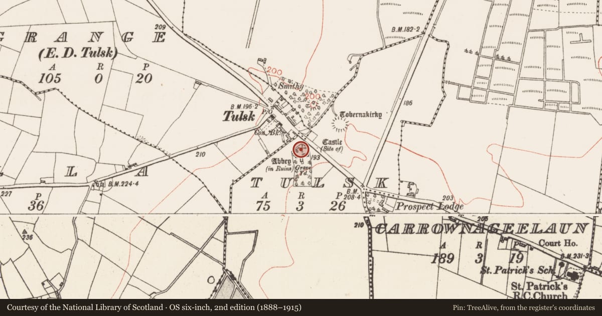 Ordnance Survey six-inch map, 2nd edition (1888–1915) covering the location of Architectural fragment, Tulsk, County Roscommon, with a pin at the register's coordinates