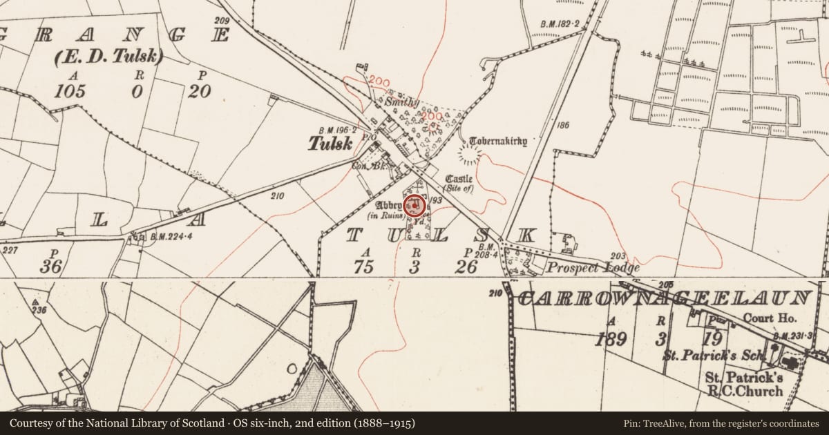 Ordnance Survey six-inch map, 2nd edition (1888–1915) covering the location of Crucifixion plaque, Tulsk, County Roscommon, with a pin at the register's coordinates