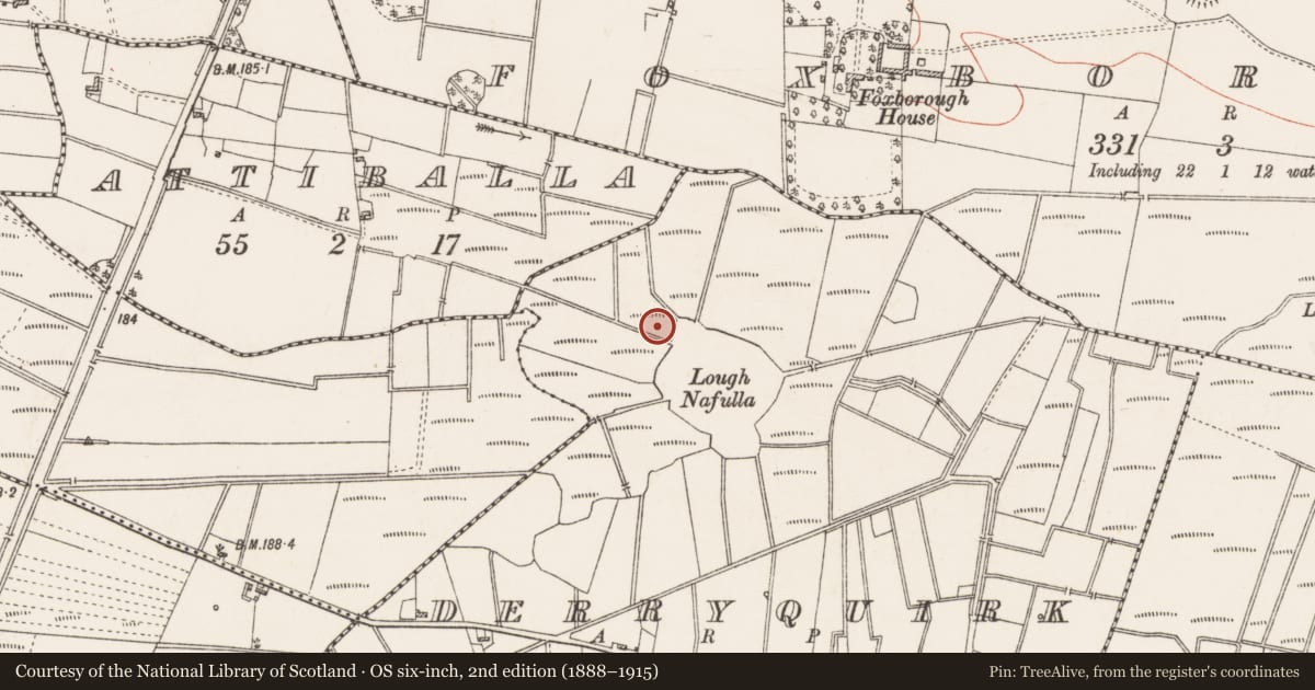 Ordnance Survey six-inch map, 2nd edition (1888–1915) covering the location of Crannog, Derryquirk, County Roscommon, with a pin at the register's coordinates